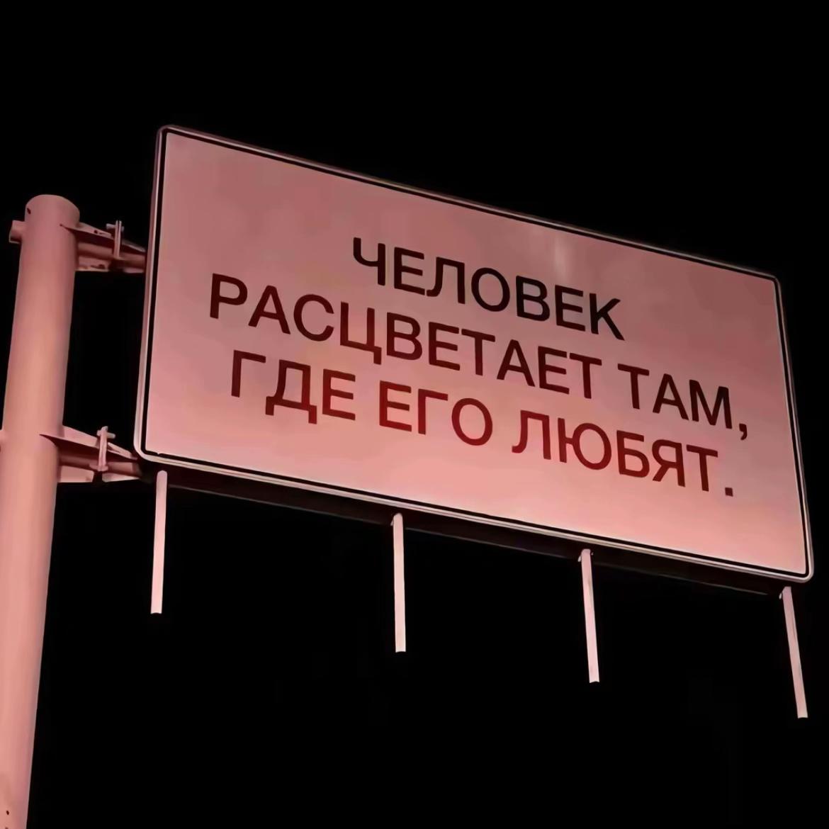 @фольксваген поля