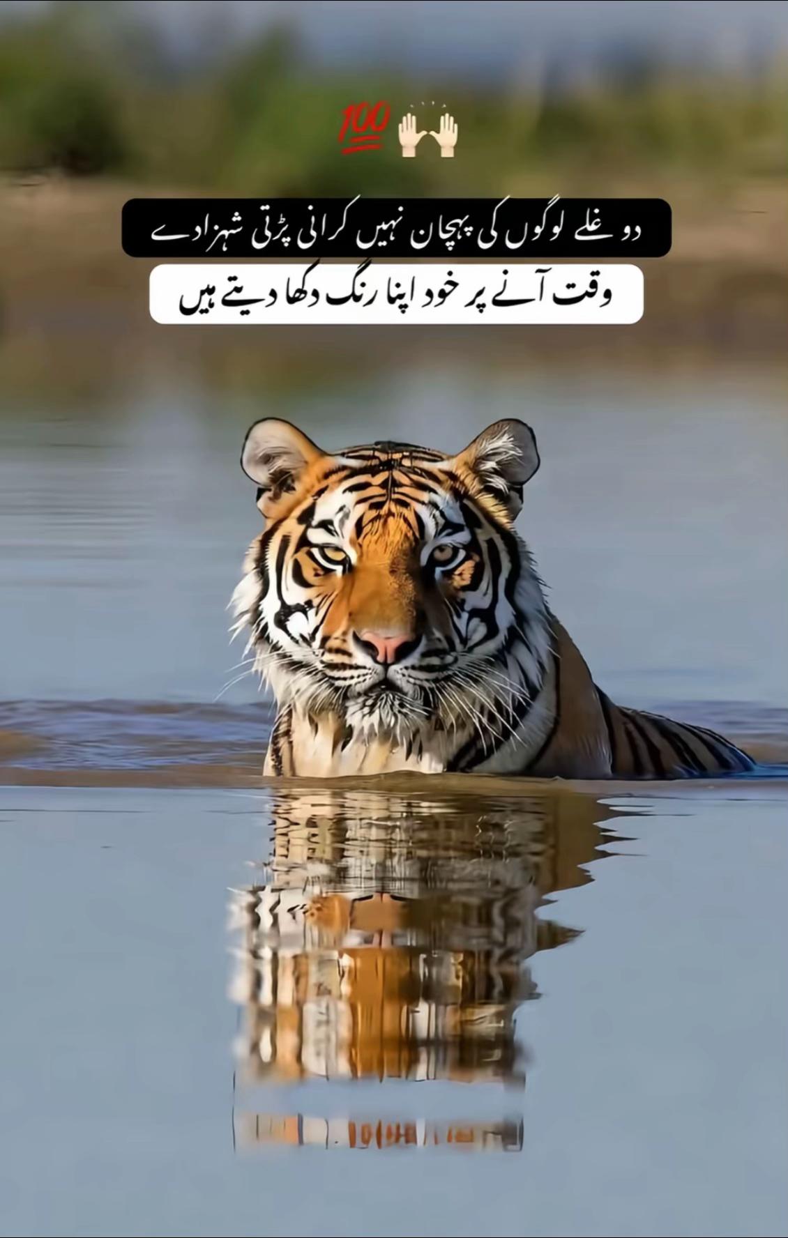 @میاں