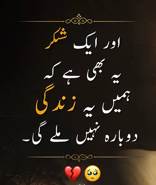 @Call-Me-Muhtaram👑
