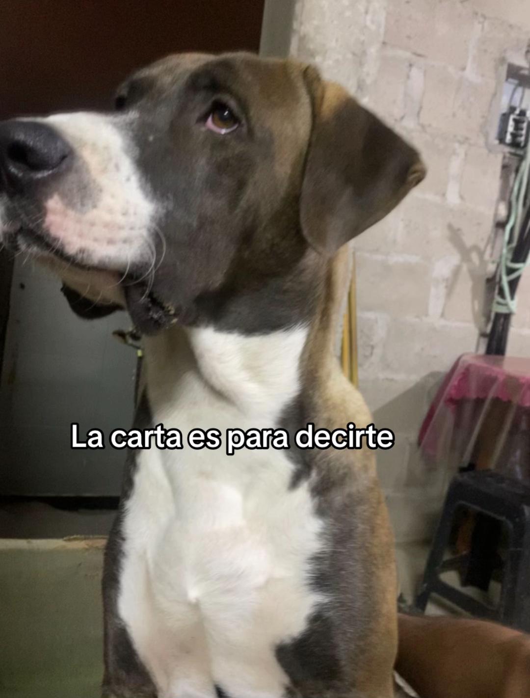 @Adrian Mendez