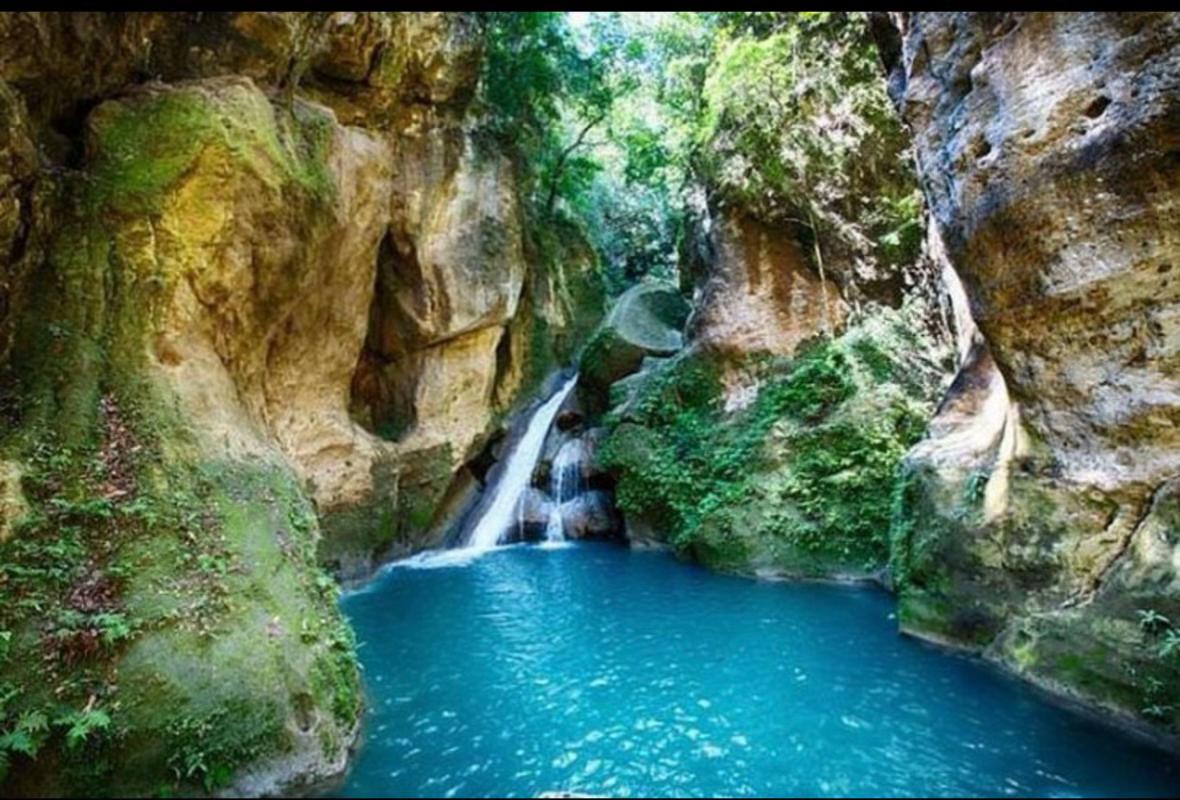 @sublime509🍀🇭🇹🌸
