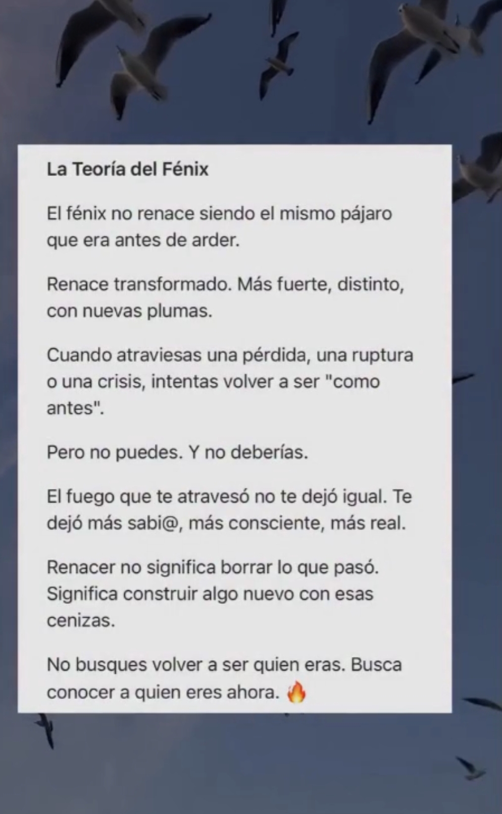 @Leo 🇺🇾 oficial