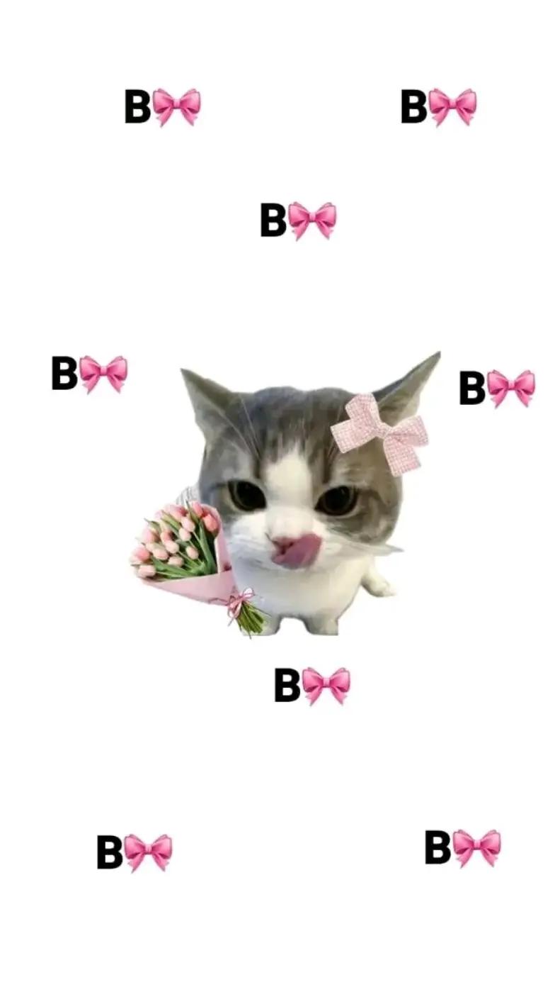 @⋆ 𐙚Levix.x⋆