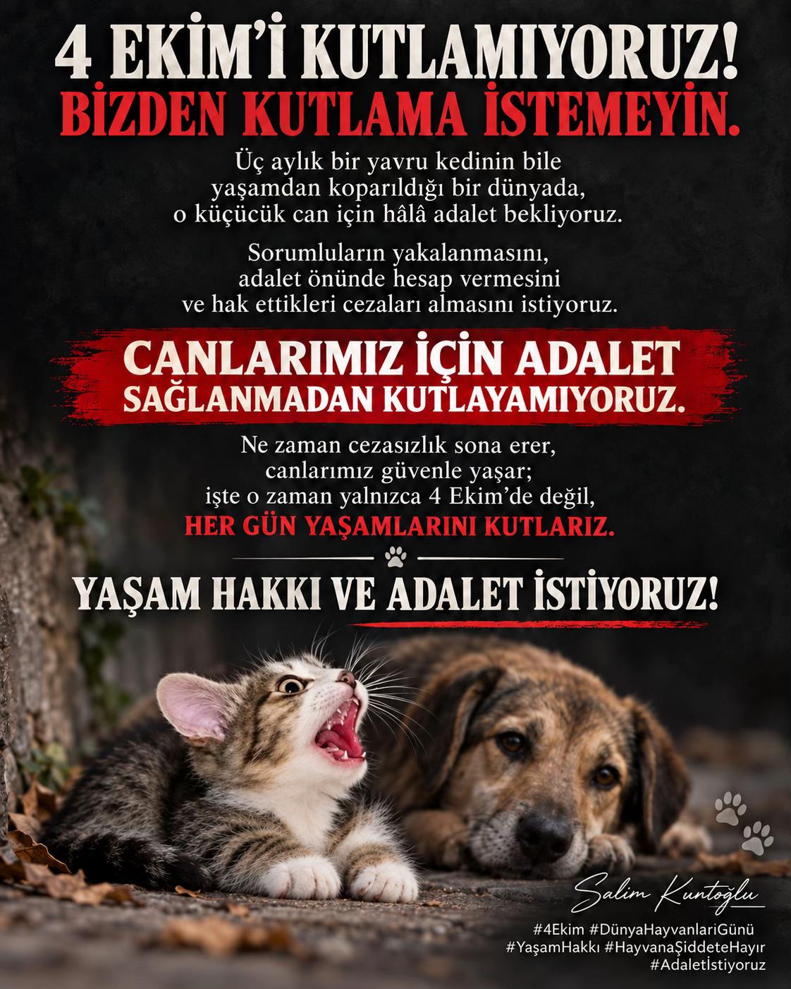 @Salim Kuntoğlu