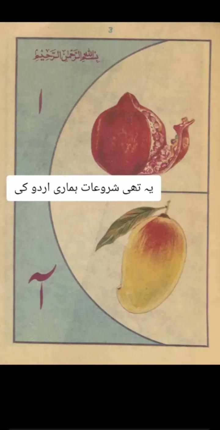 @awais noor