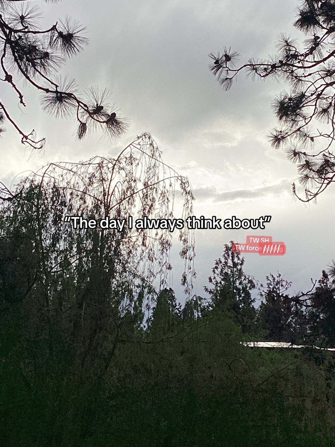 @⋆。˚꒰ঌ Cherry🍒 ໒꒱˚。 wem’s Ver