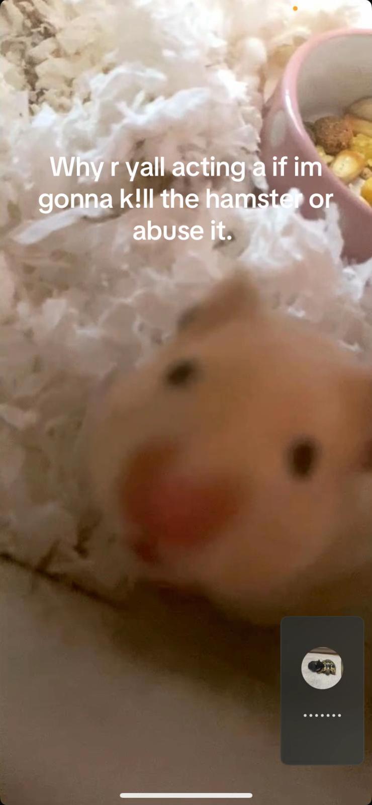 @𝙱𝚎𝚊𝚍𝚎𝚍 𝚋𝚢 𝙻𝚎𝚊 ♡