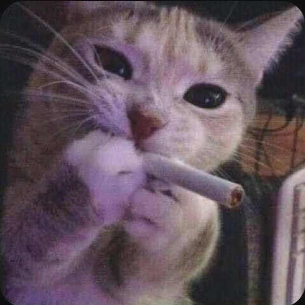 @veuygo