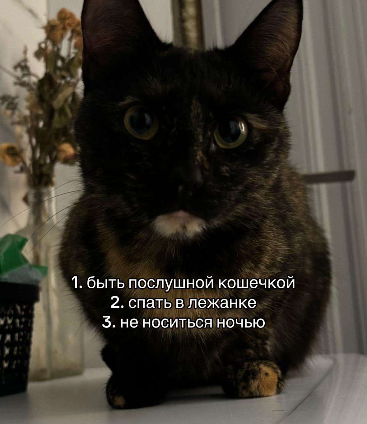 @лионельо месе