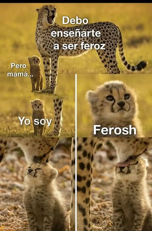 @Porque soy Biólogo