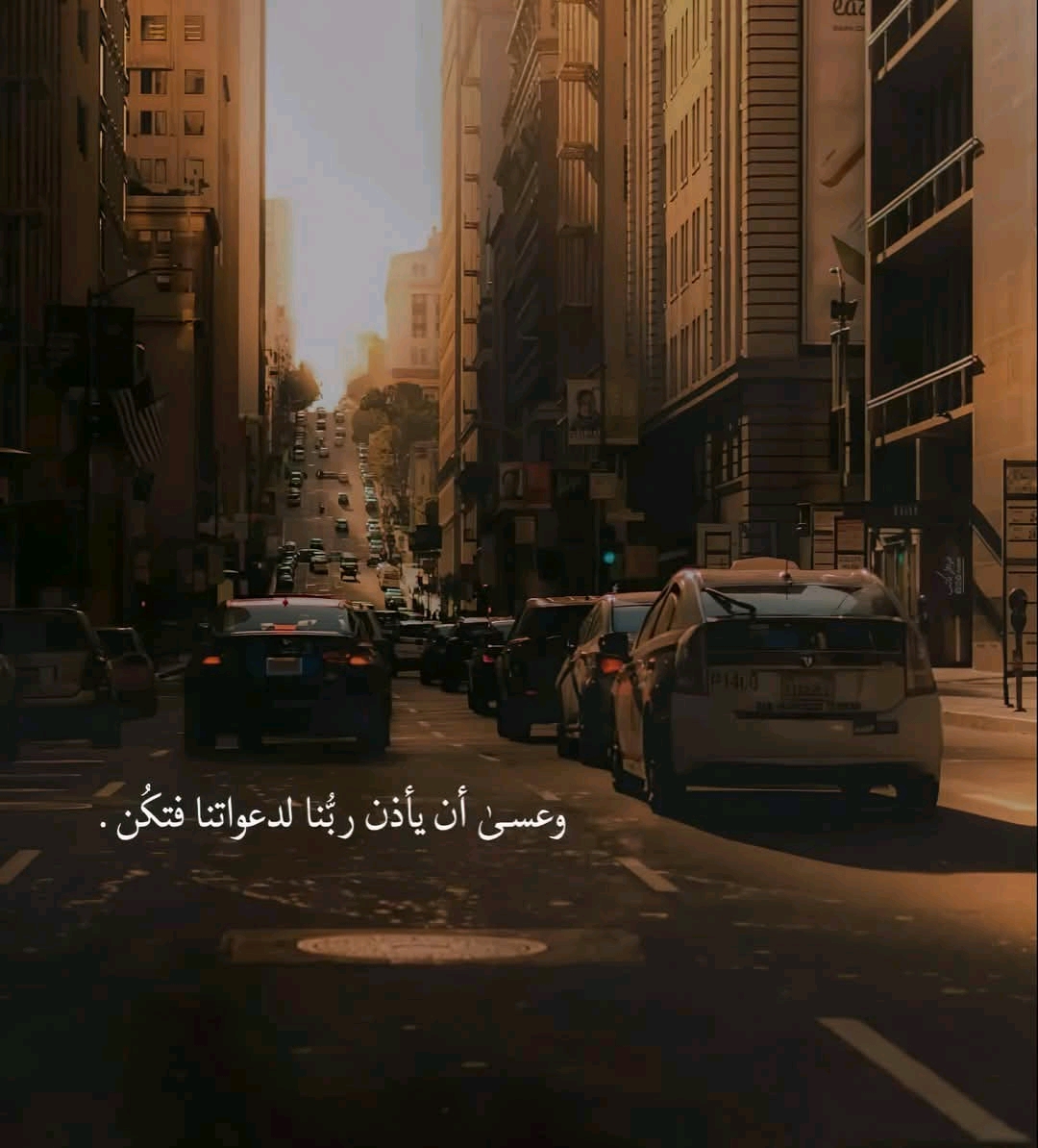 @الباشا   🚬