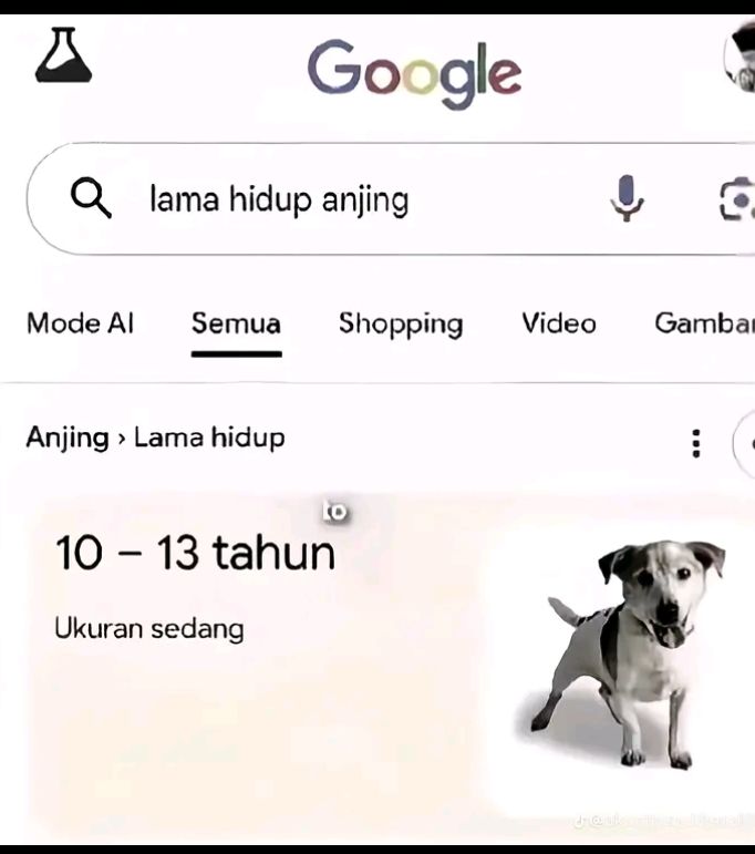 @Yudi 23
