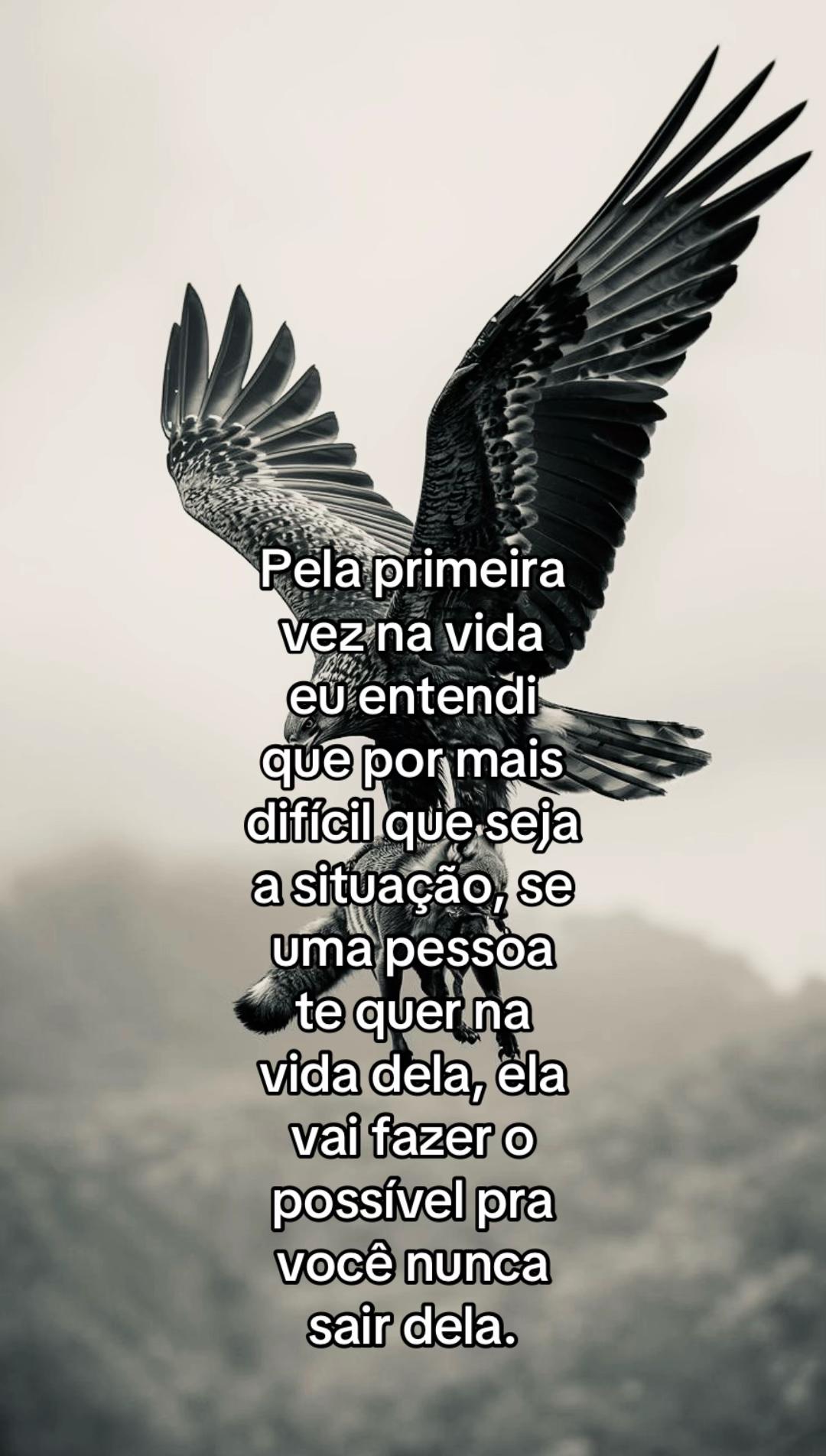 @junin 