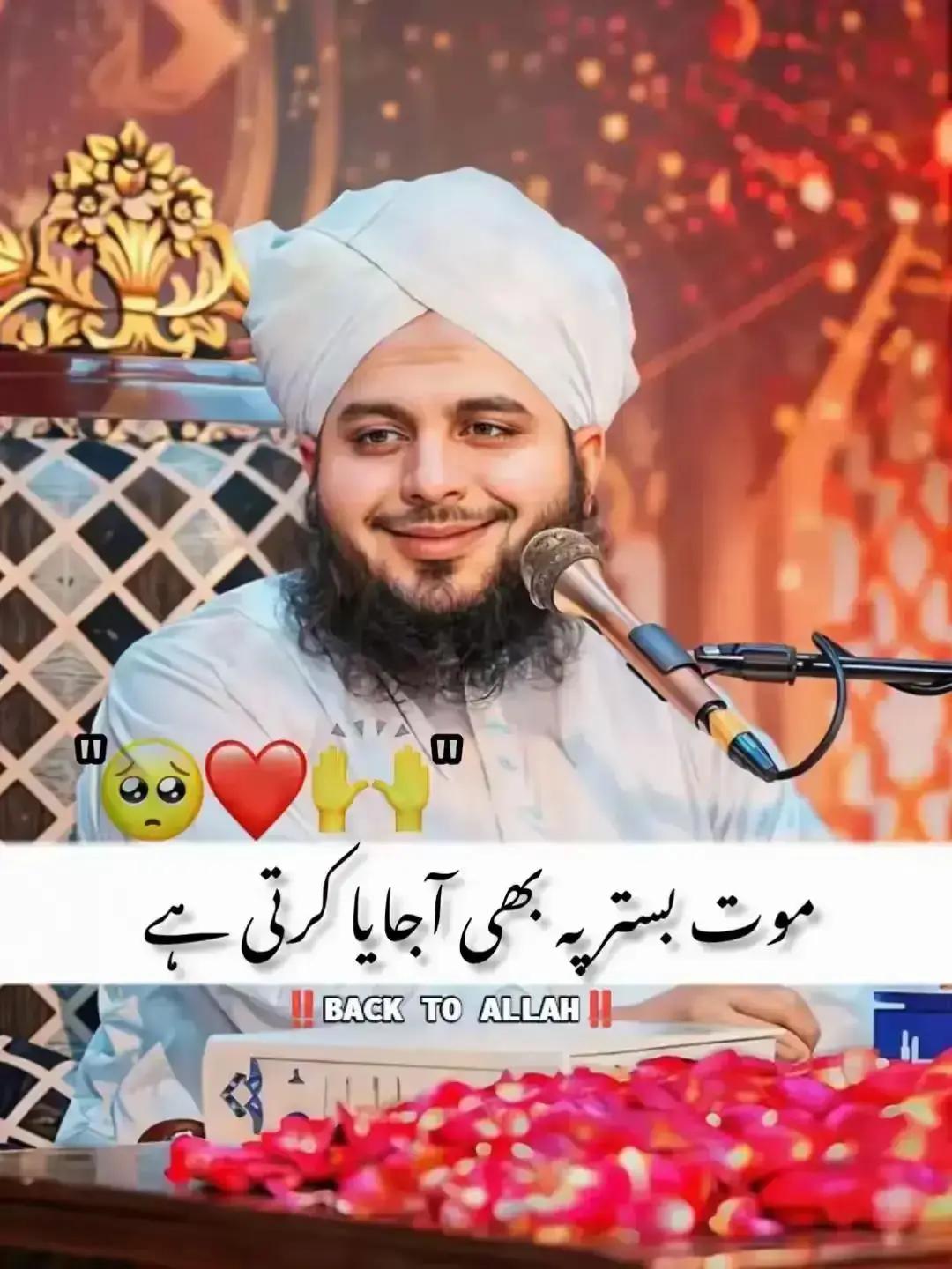 @inzamam jani