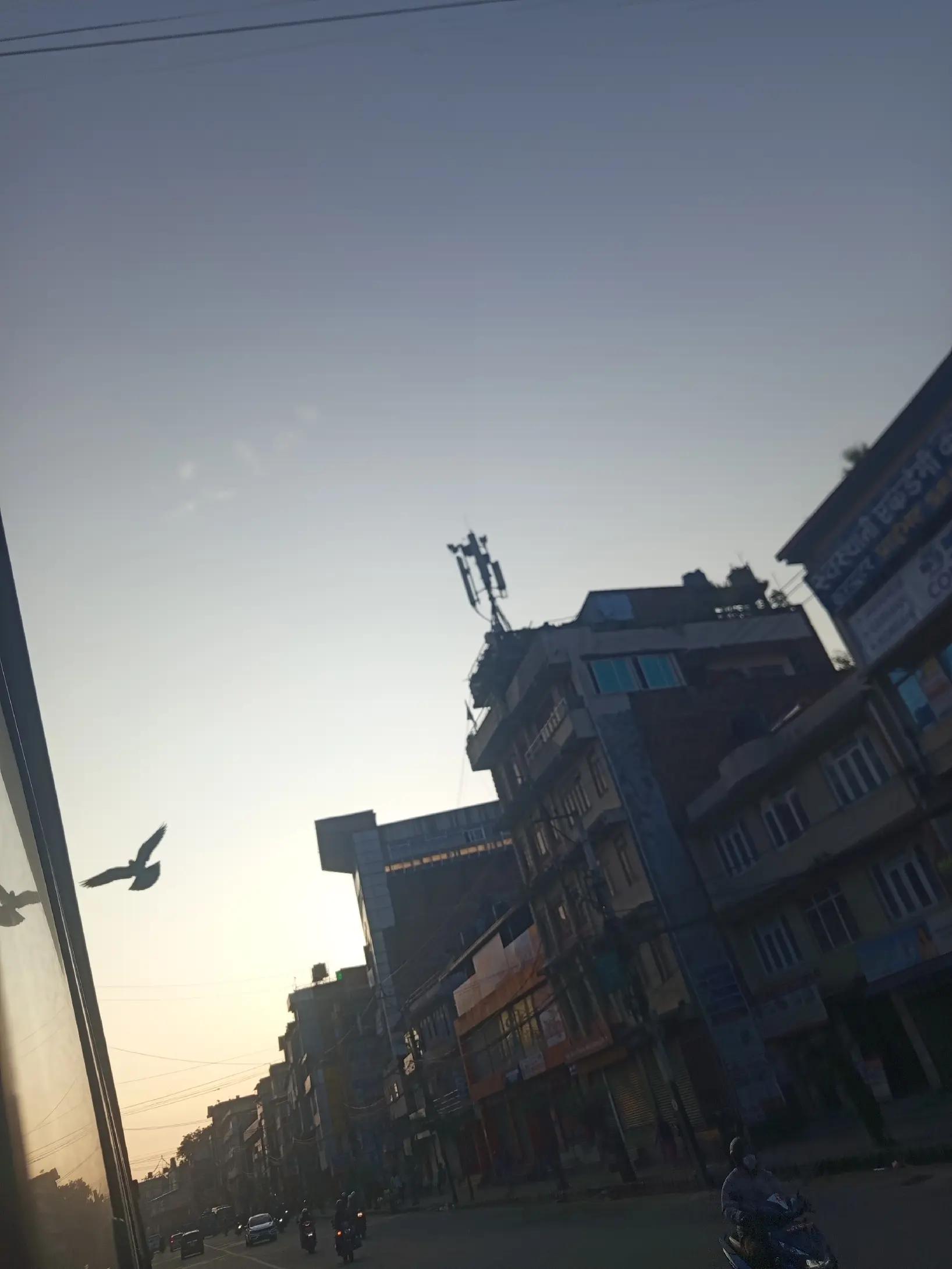 @फिरन्ते 🔎💐🤗