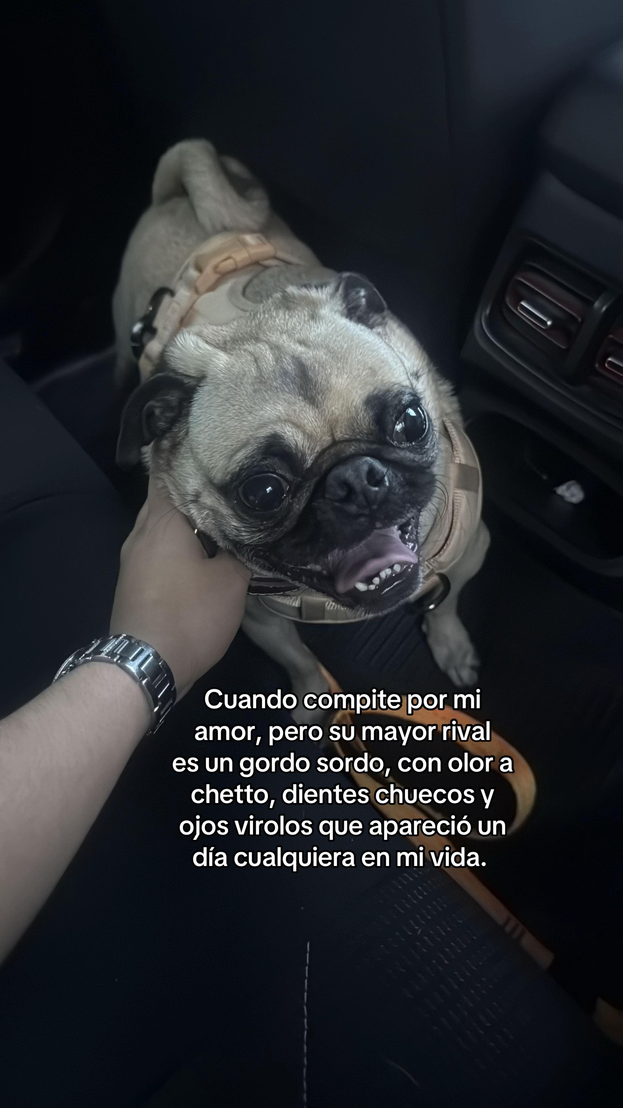 @Alexa&elcarnalchiss