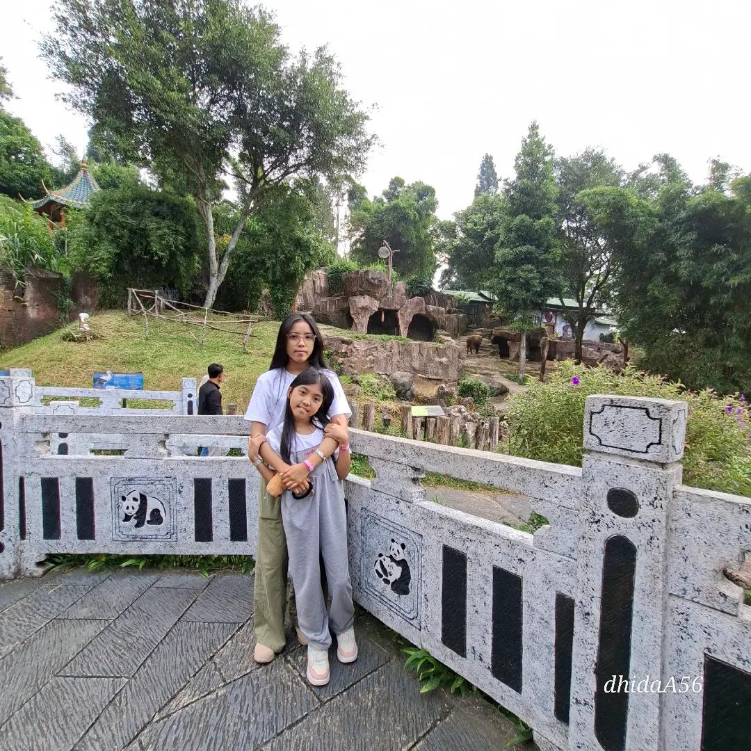 @Dhiajalah