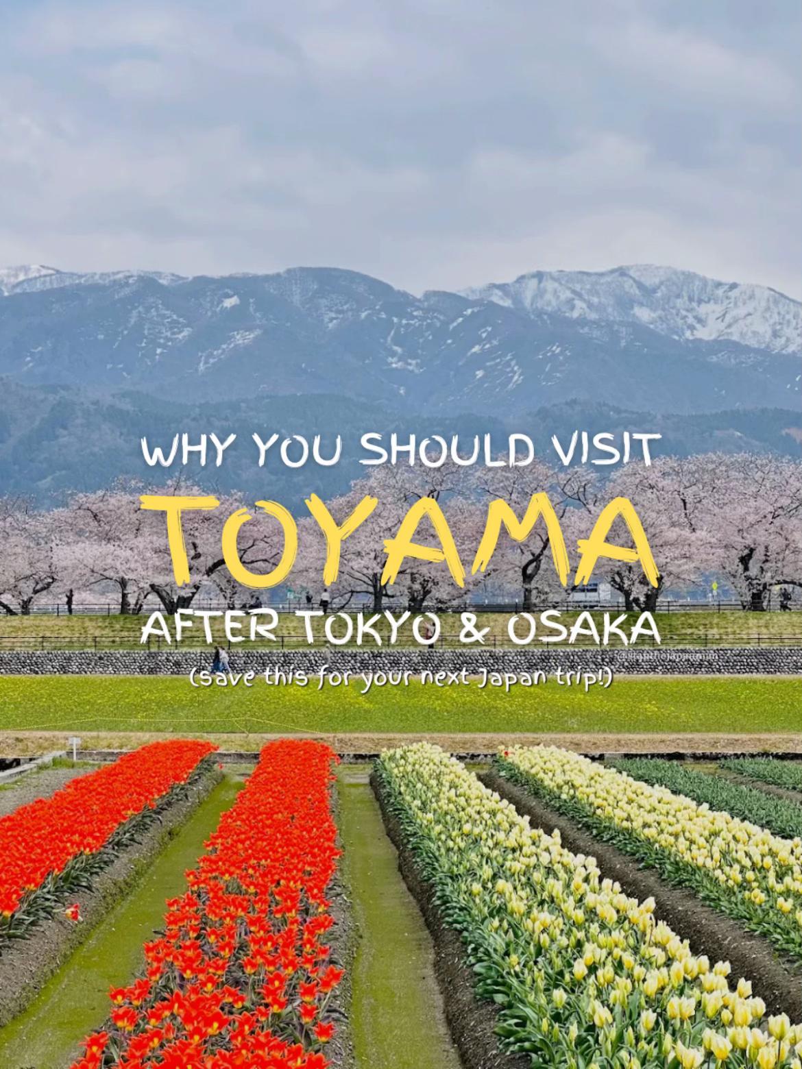 @stanthejapanman / Japan Travel