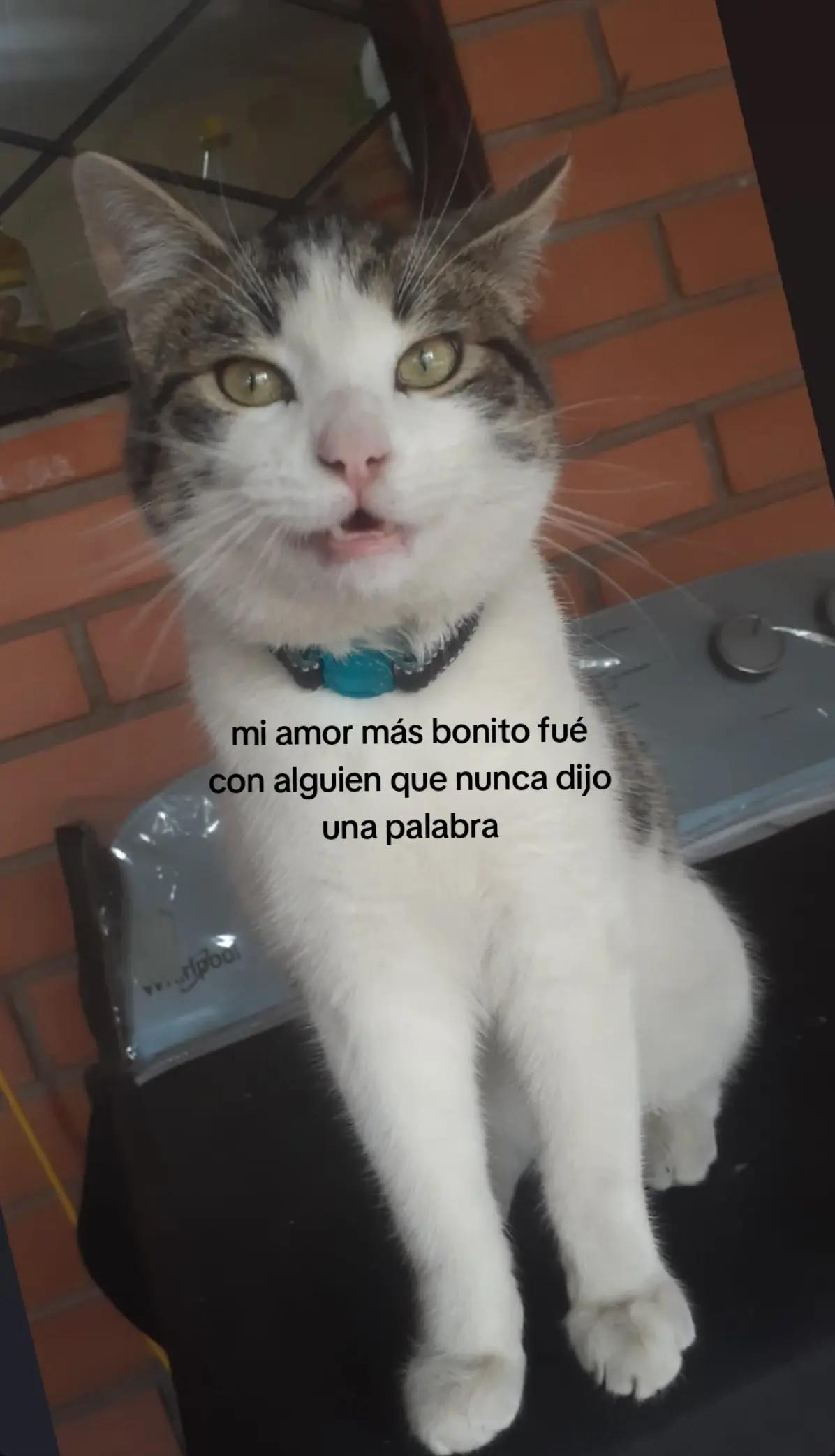 @la chio