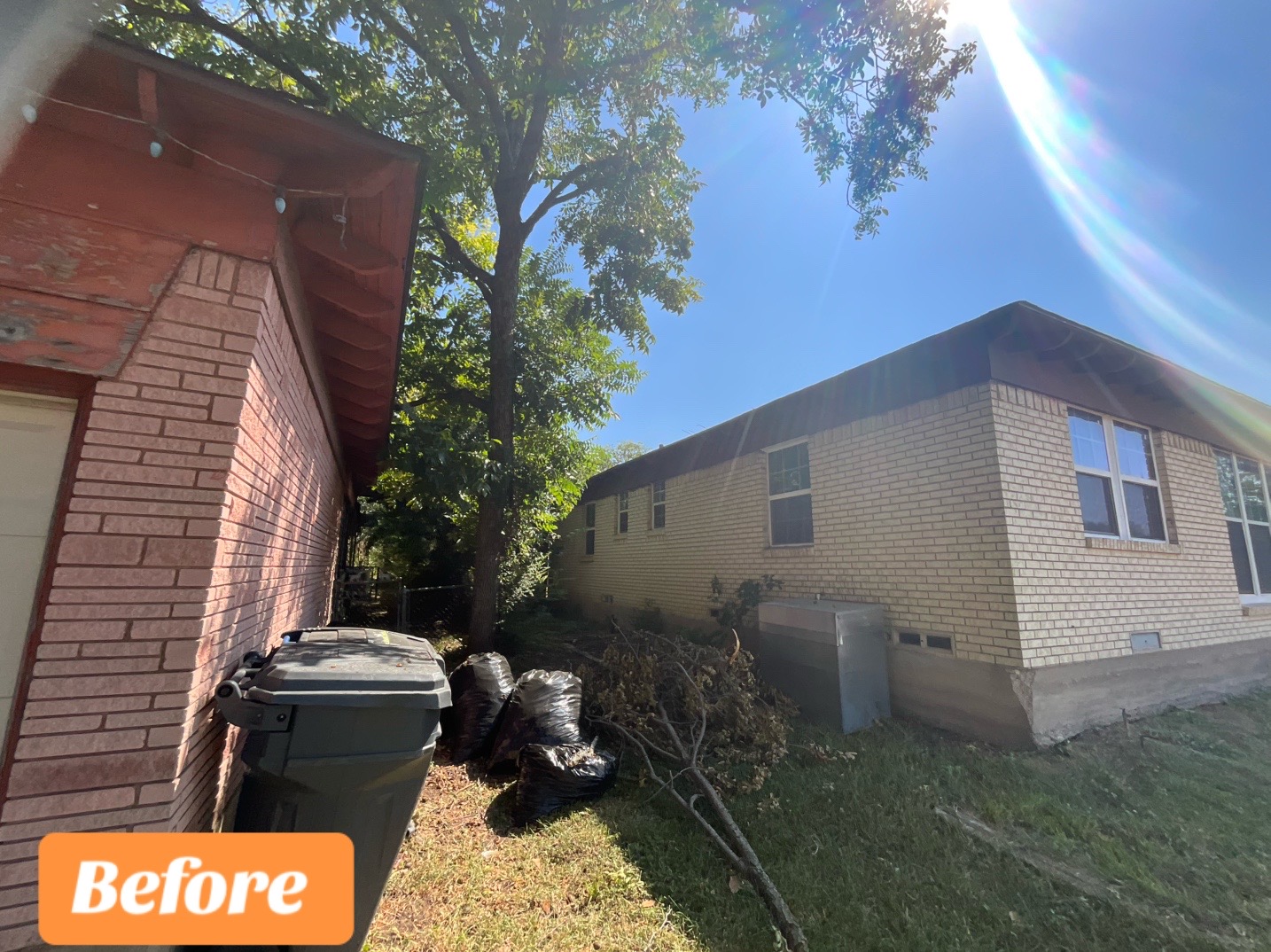 @Live Oak Tree Service