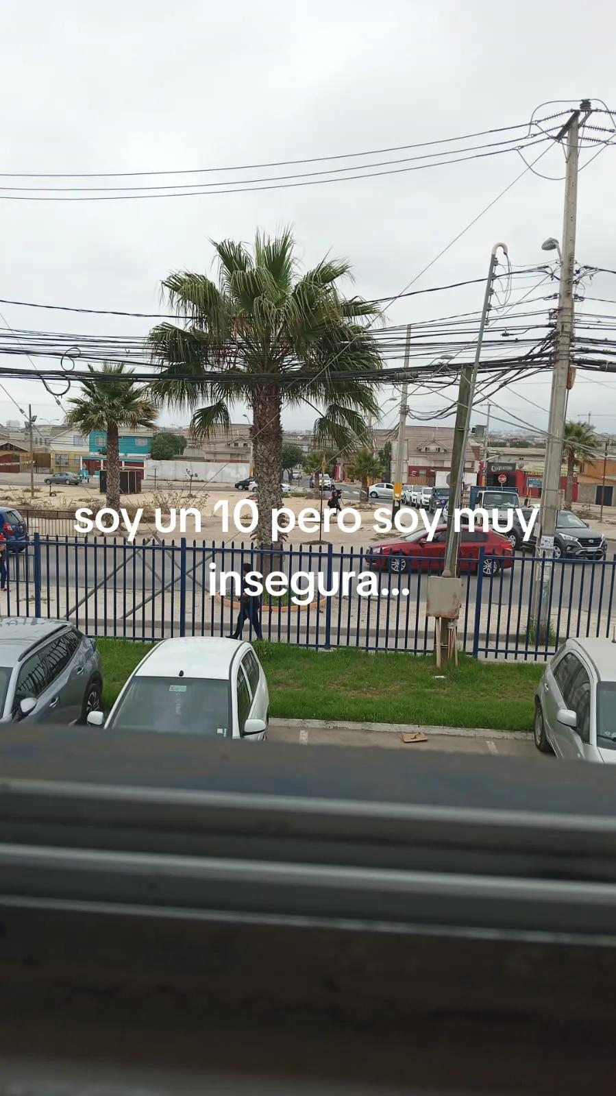 @🤎🤎🤎