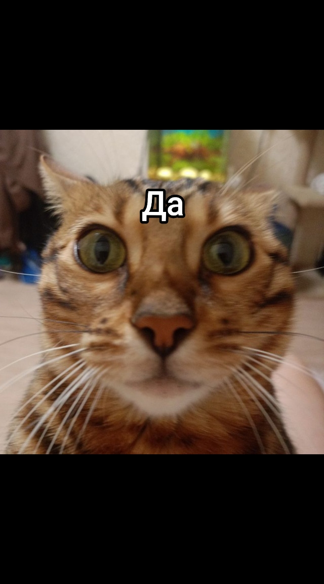@Леон Великий