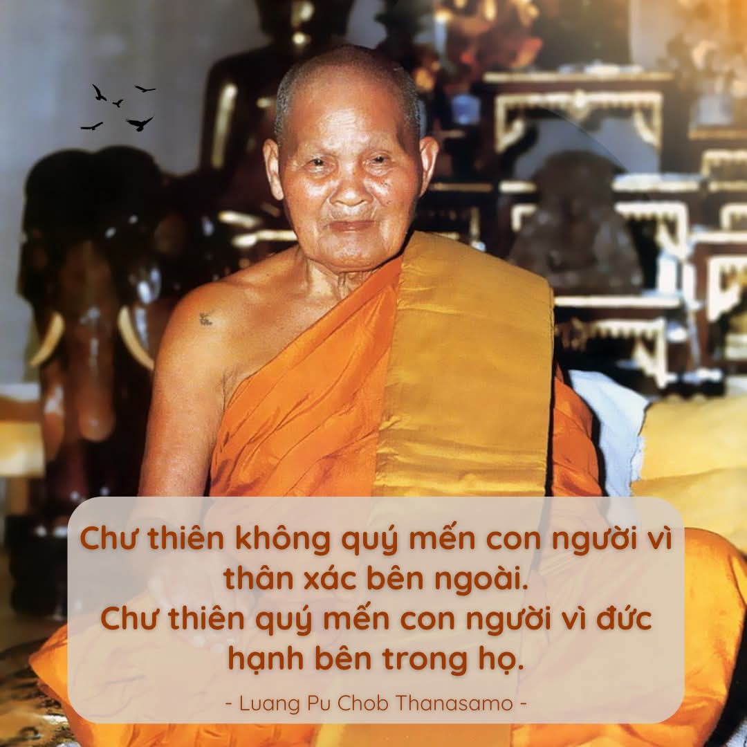@Mỹ Phẩm Mới 68
