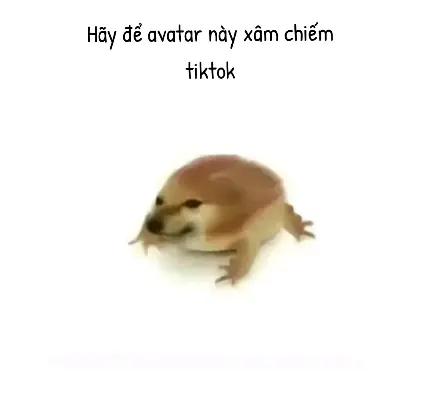 @pipilabu