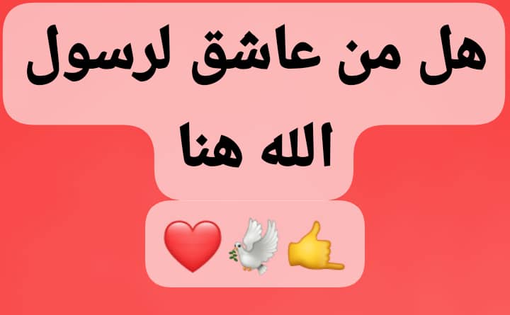 @سجاد2