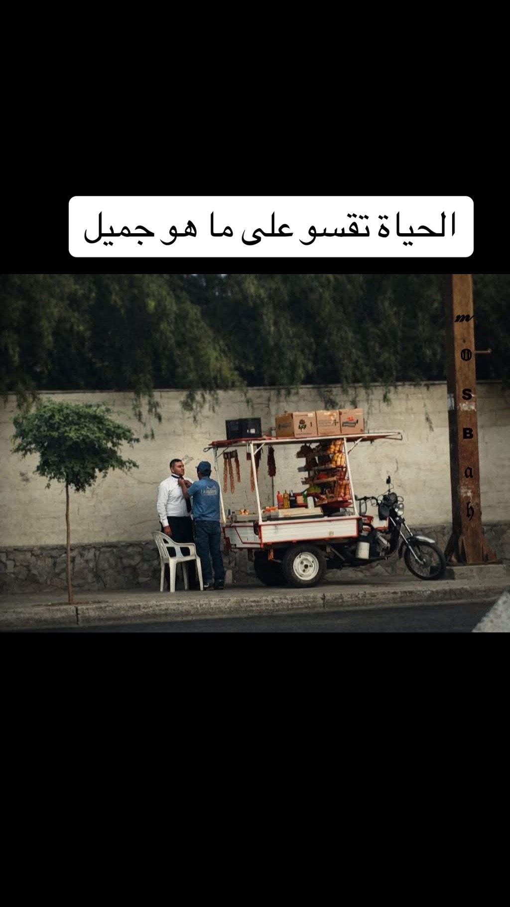 @سوليتاريو Solitario