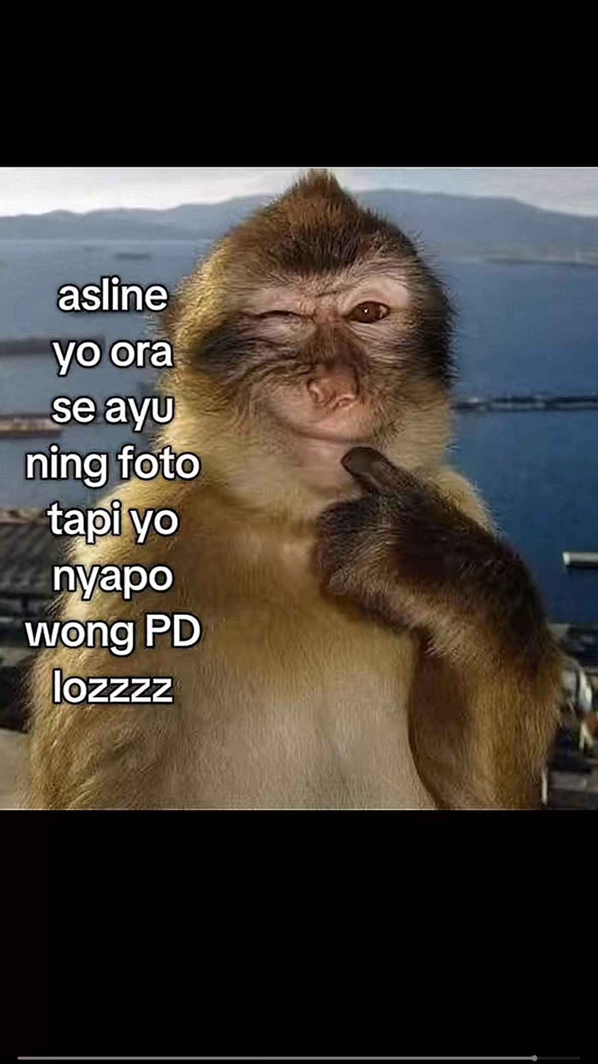 @zizaah