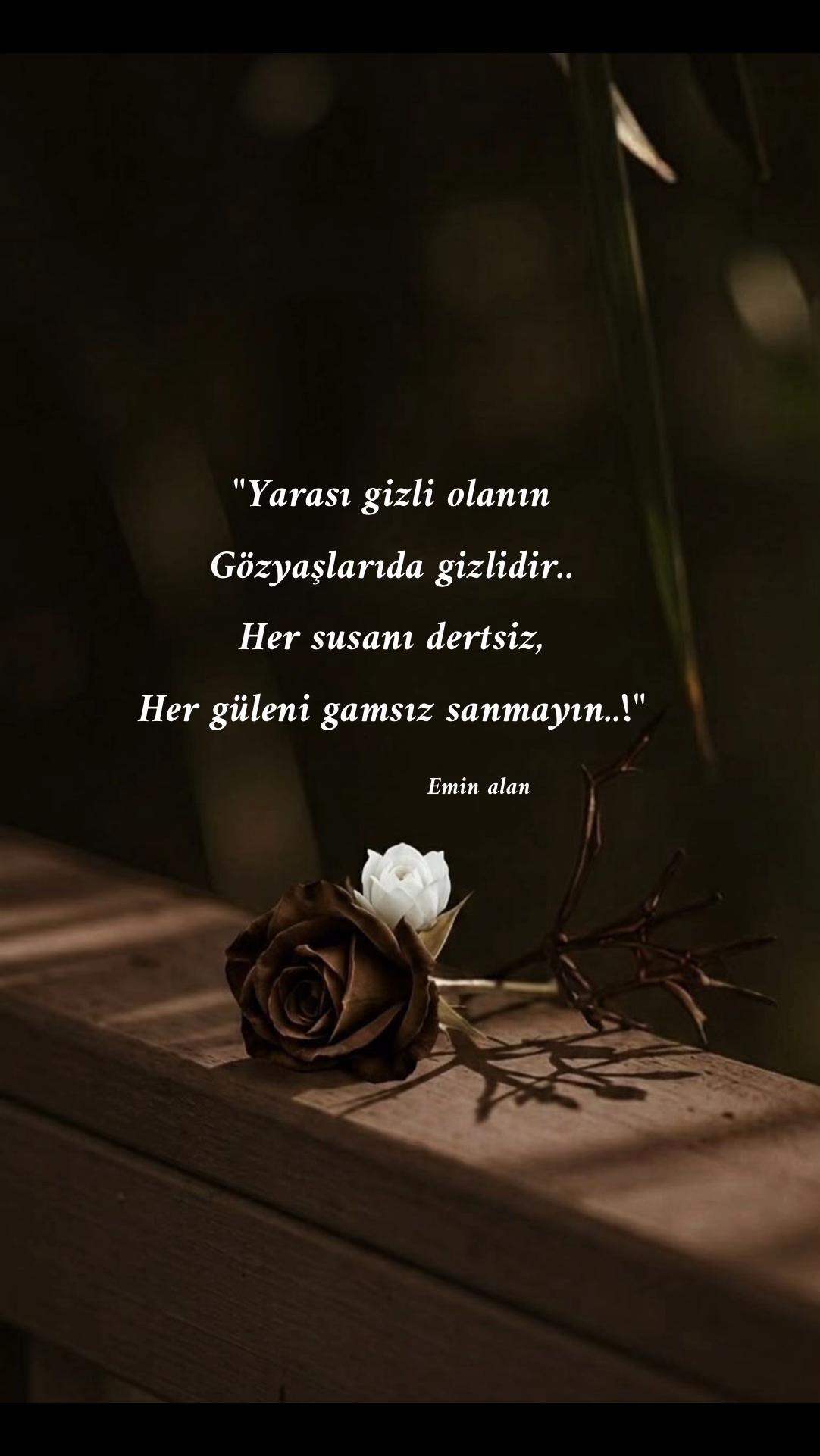 @Emin Alan
