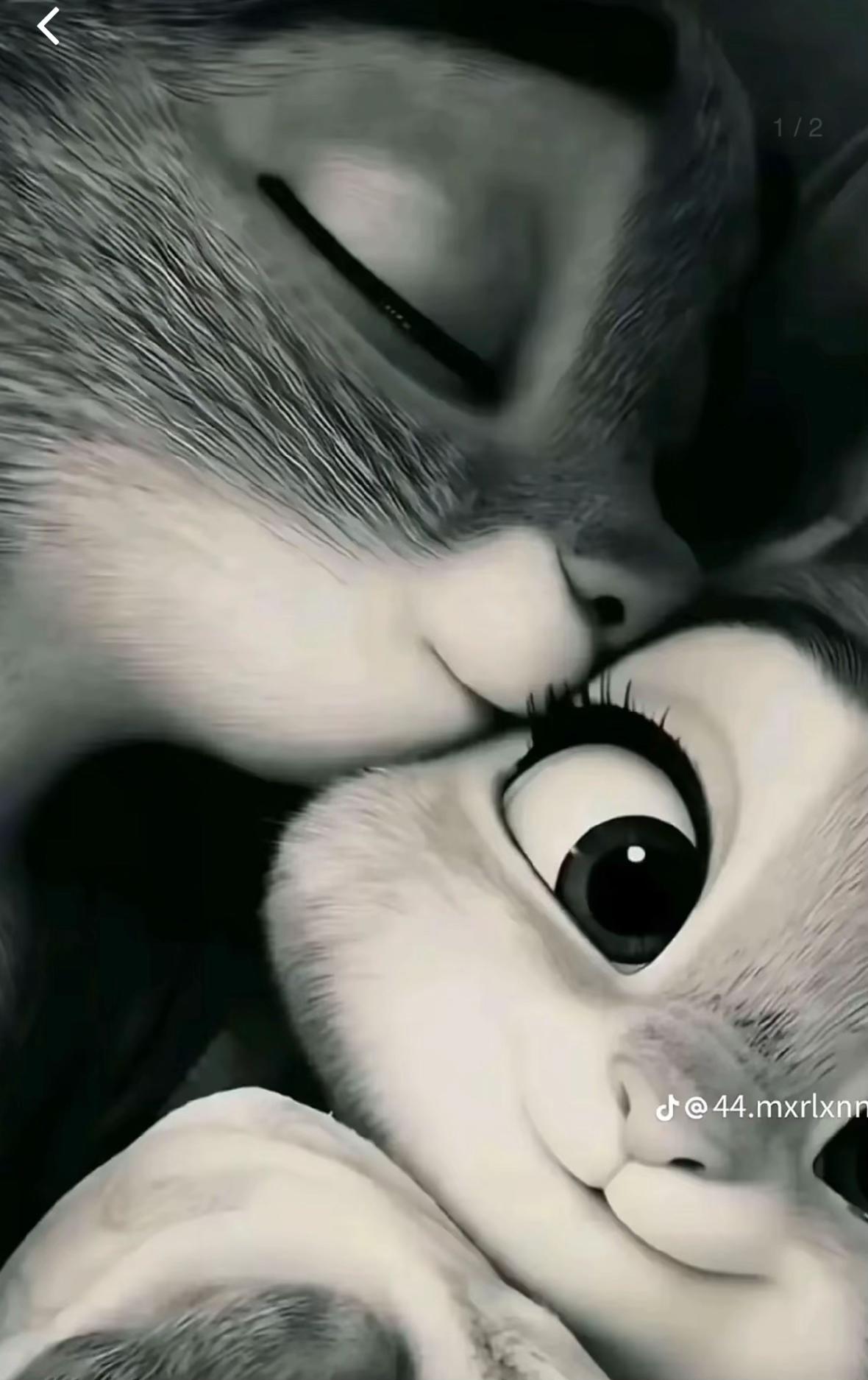 @octiktok🎧