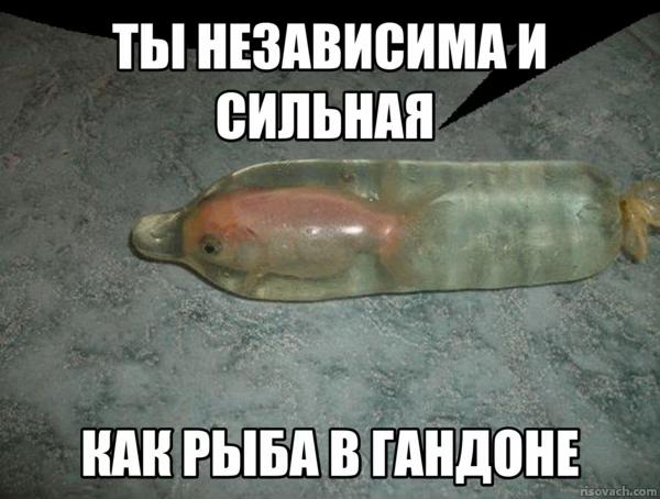 @тимур дезолятор