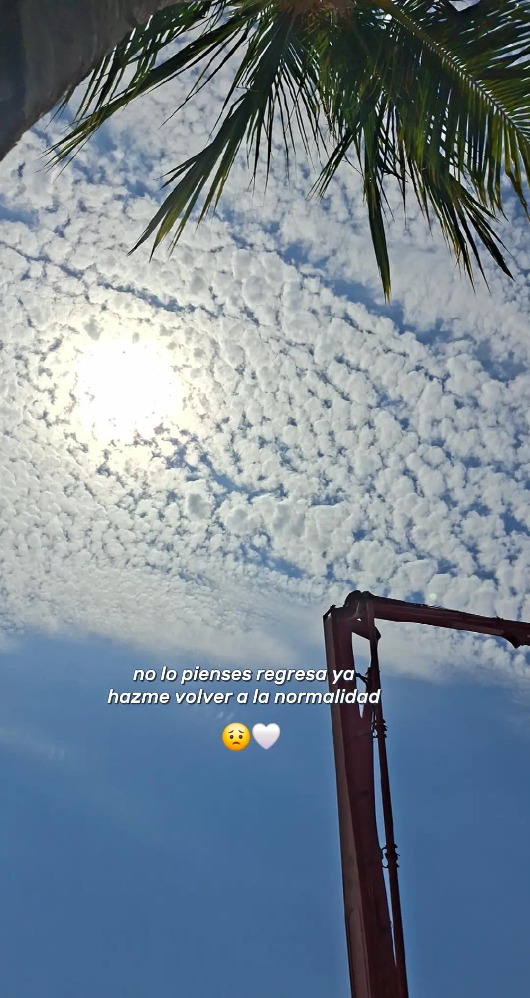 @Daniela