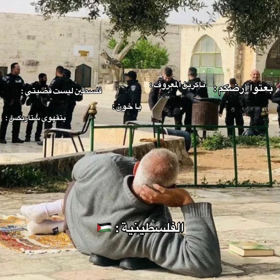 @كنعان 🇵🇸.