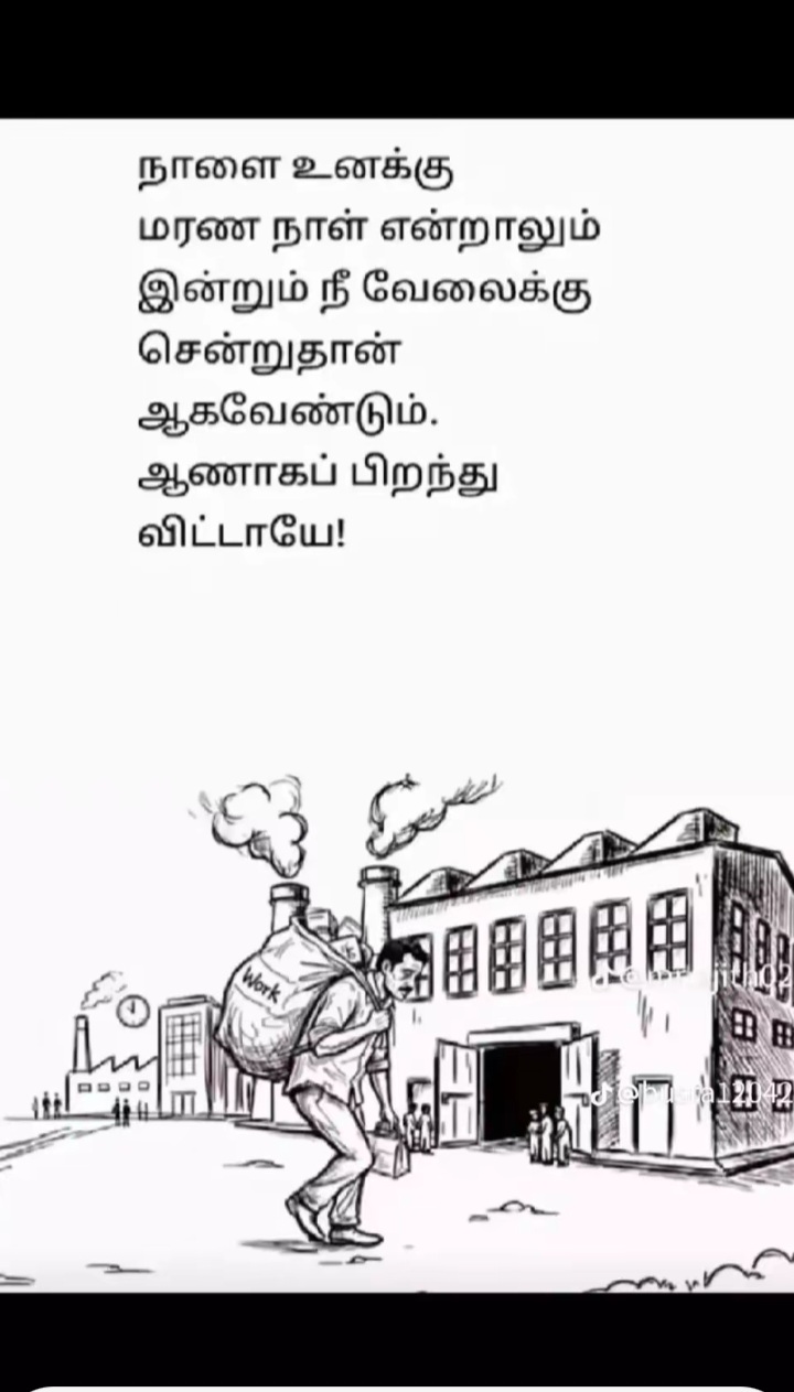 @shafran