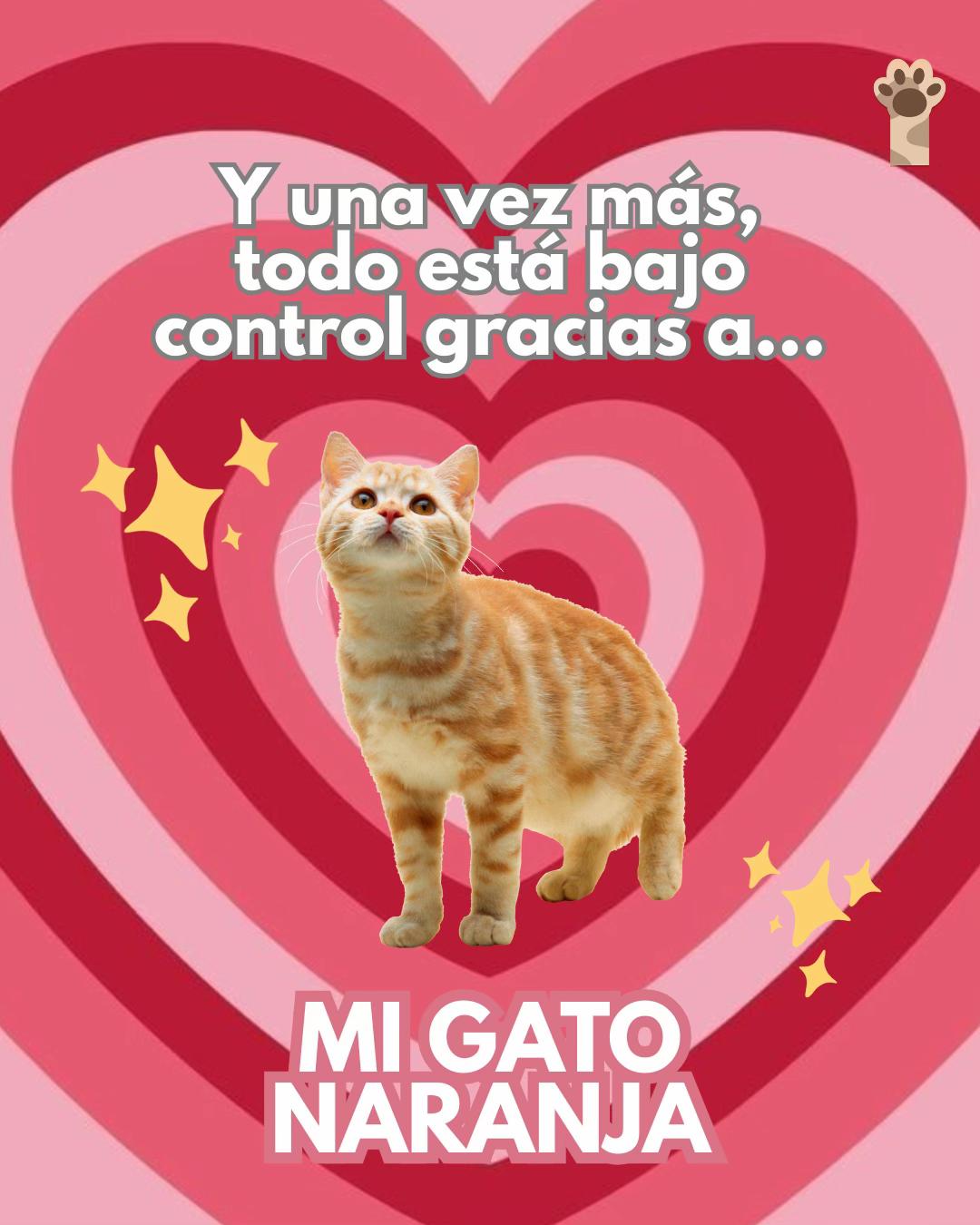 @Petlife