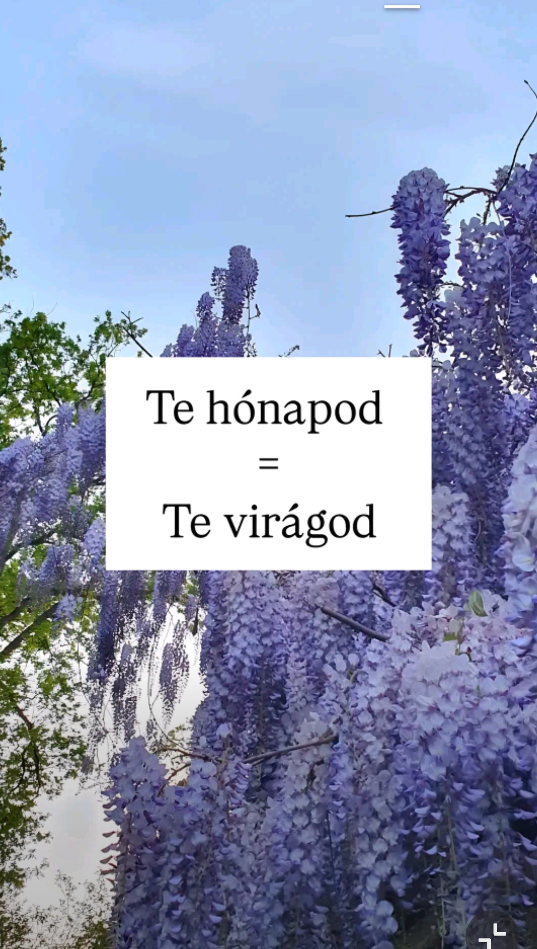 @tűndi &eacute;s Ernőke  😘szeretlek
