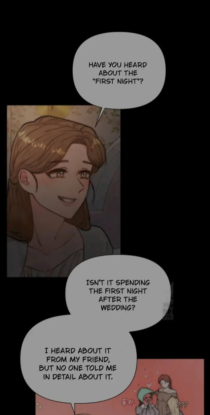 @🏵️
