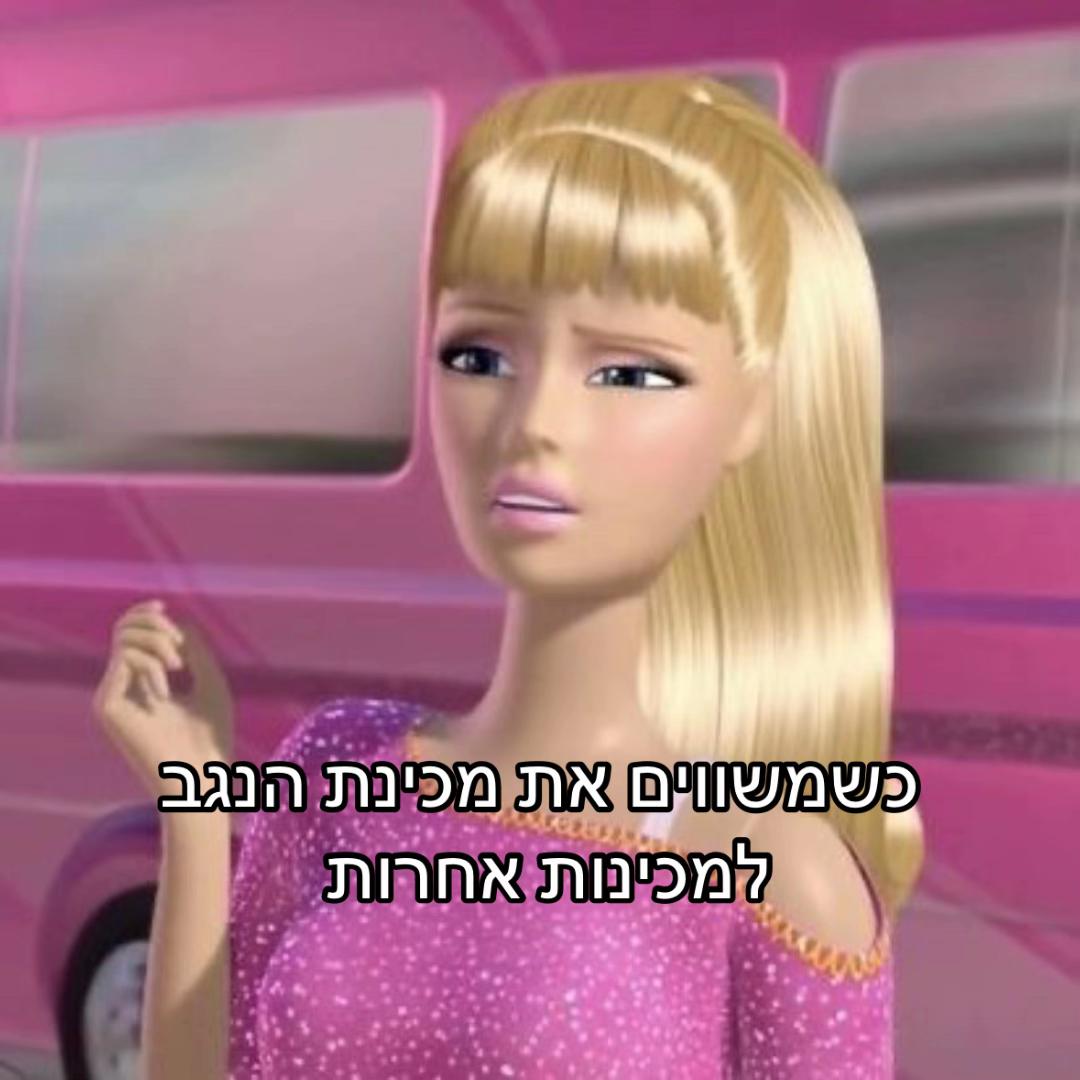 @מכינת הנגב ניצנה🏜️