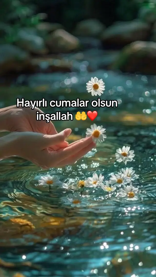 @Ay ışığı 🌙🌟
