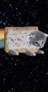 @。𖦹°‧ 🪲CASPER 💽 ⭑.ᐟ