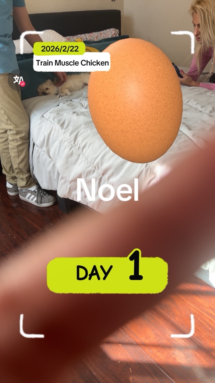 @noelclark32