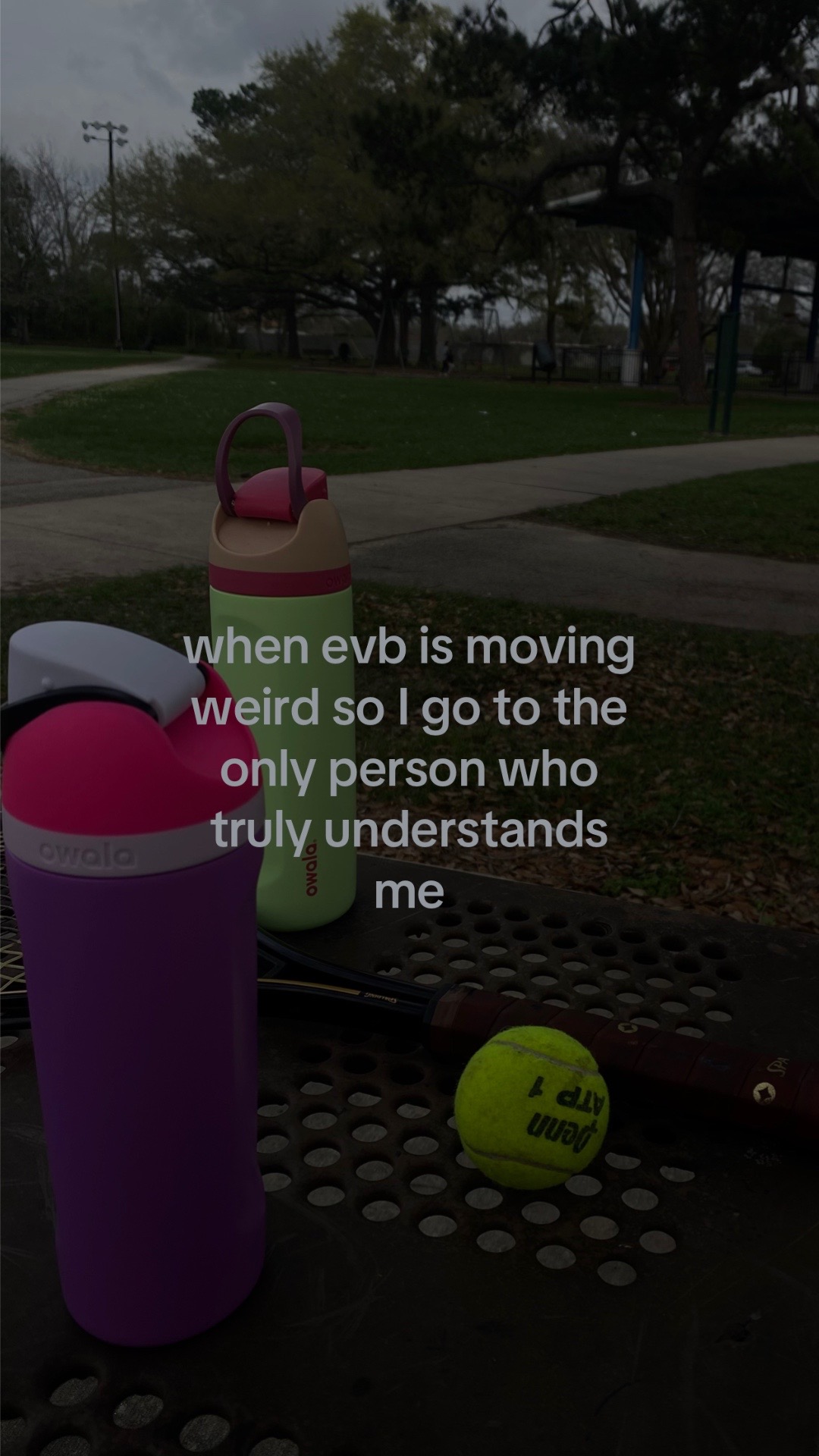 @🪼