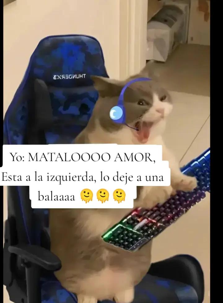 @Yana 🌻✨