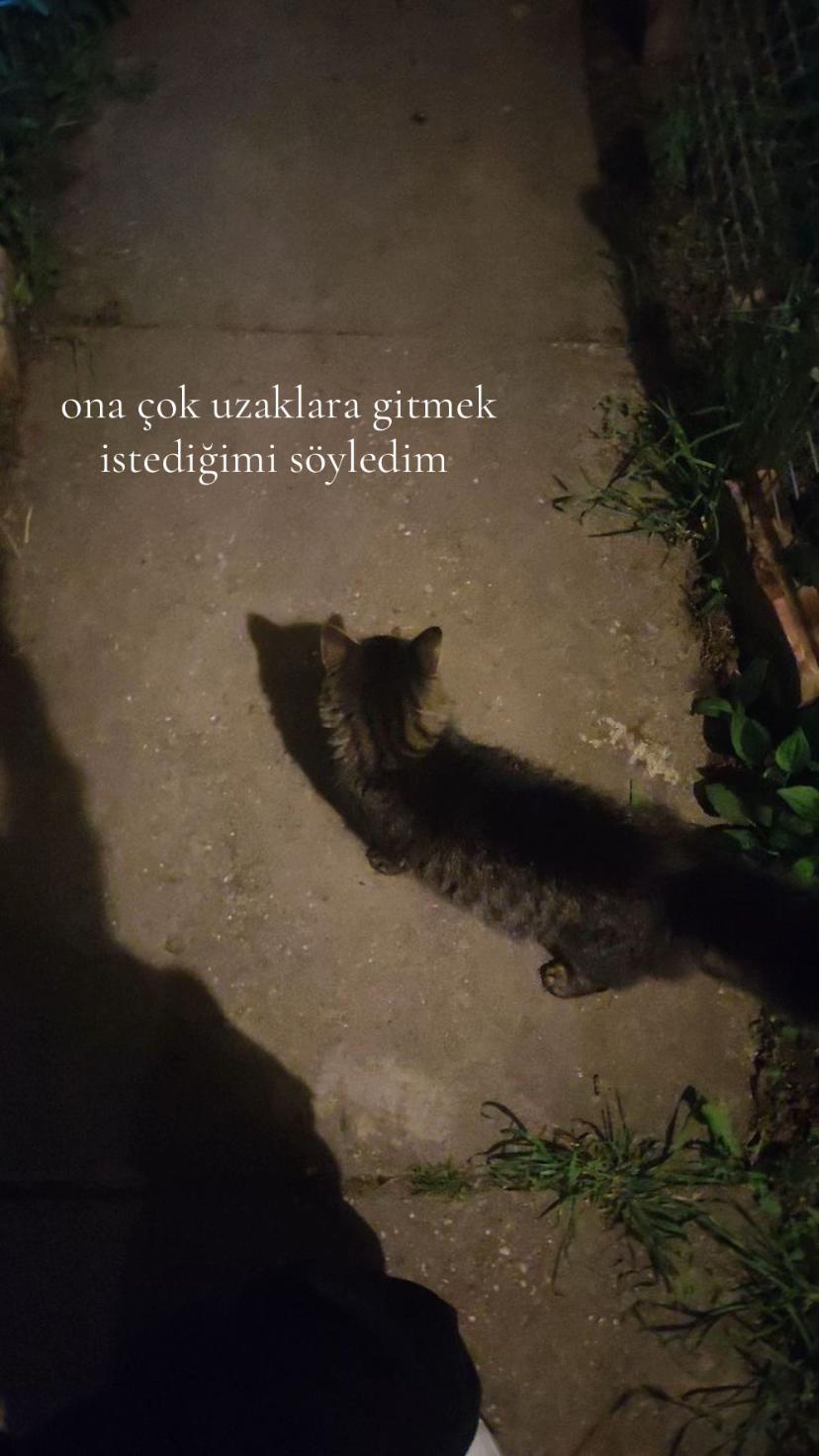 @zeynep&rsquo;