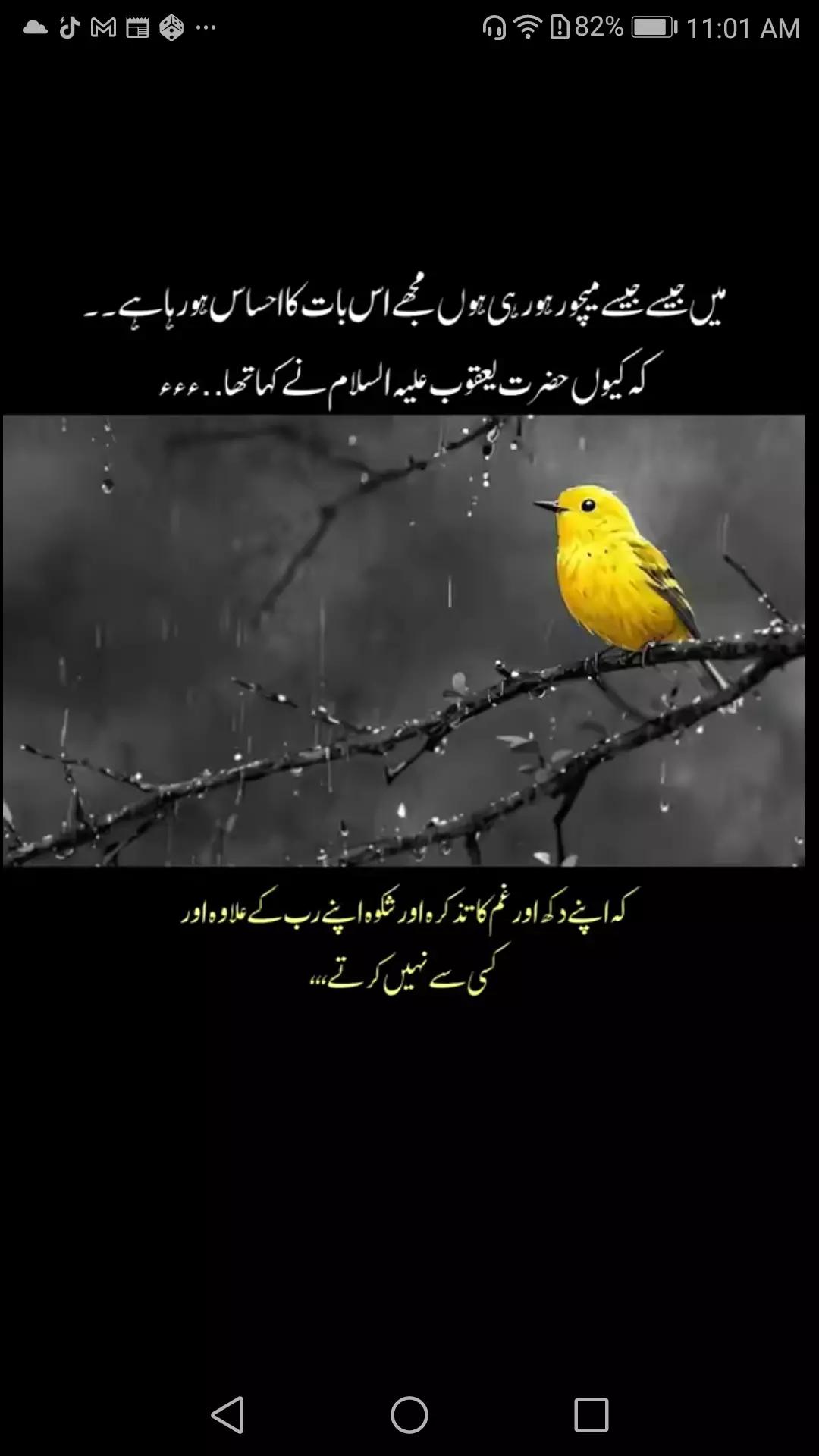@rananaveed85971