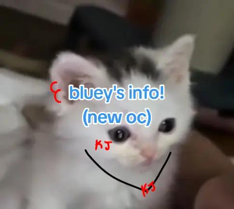 @★†BLUEY†★