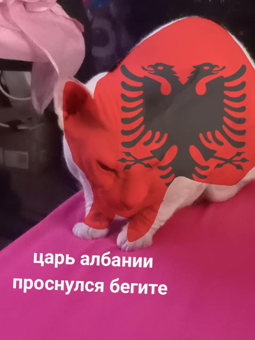 @кабан кузя